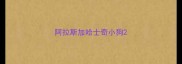 阿拉斯加哈士奇小狗