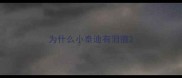 为什么小泰迪有泪痕