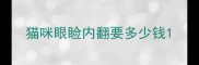 猫咪眼睑内翻要多少钱