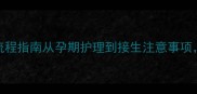 拉布拉多生育全流程指南从孕期护理到接生注意事项新手犬父母必看