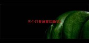 三个月泰迪喜欢睡觉