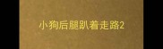 小狗后腿趴着走路