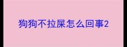 狗狗不拉屎怎么回事