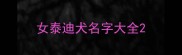 女泰迪犬名字大全
