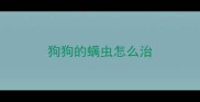 狗狗的螨虫怎么治