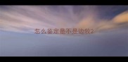 怎么鉴定是不是边牧