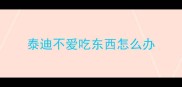 泰迪不爱吃东西怎么办