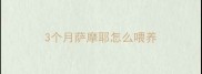 3个月萨摩耶怎么喂养