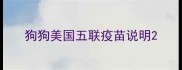 狗狗美国五联疫苗说明