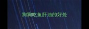 狗狗吃鱼肝油的好处
