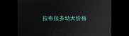 拉布拉多幼犬价格