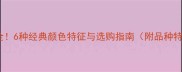 拉布拉多全6种经典颜色特征与选购指南附品种特性对比