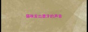 猫咪发出磨牙的声音