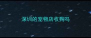 深圳的宠物店收狗吗