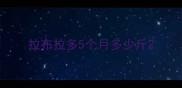 拉布拉多5个月多少斤