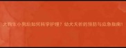 大狗生小狗后如何科学护理幼犬夭折的预防与应急指南