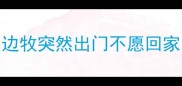 边牧突然出门不愿回家