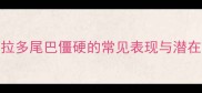 拉布拉多尾巴僵硬的常见表现与潜在危害