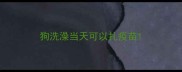 狗洗澡当天可以扎疫苗