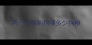 两个月的狗狗喂多少狗粮