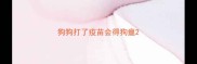 狗狗打了疫苗会得狗瘟