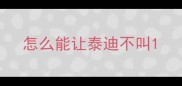 怎么能让泰迪不叫
