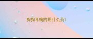 狗狗耳螨的用什么药