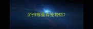 泸州哪里有宠物店