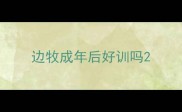 边牧成年后好训吗