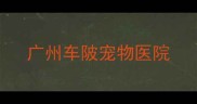 广州车陂宠物医院