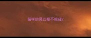 猫咪的尾巴根不能碰