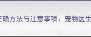 狗狗使用风油精的正确方法与注意事项宠物医生详解驱虫防暑指南