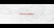 拉布拉多犬配种45