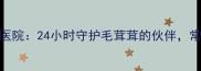北京松鼠专科宠物医院24小时守护毛茸茸的伙伴常见松鼠疾病诊疗全