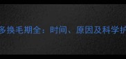 拉布拉多换毛期全时间原因及科学护理指南