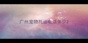 广州宠物托运电话多少