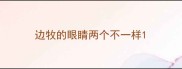 边牧的眼睛两个不一样