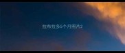 拉布拉多5个月照片