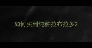 如何买到纯种拉布拉多