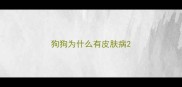 狗狗为什么有皮肤病
