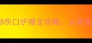 宠物犬咬伤后手部伤口护理全攻略从紧急处理到预防措施