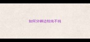 如何分辨边牧纯不纯