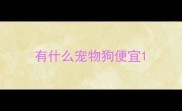 有什么宠物狗便宜