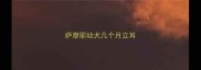 萨摩耶幼犬几个月立耳