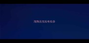 淘狗无忧拉布拉多