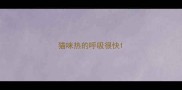 猫咪热的呼吸很快