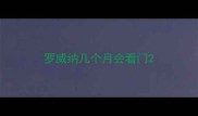 罗威纳几个月会看门