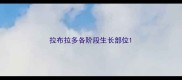 拉布拉多各阶段生长部位