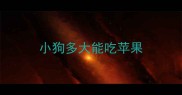 小狗多大能吃苹果