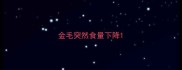 金毛突然食量下降